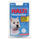 LE VRAI HARNAIS HALTI  HEADCOLLAR