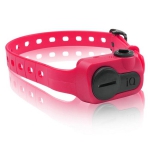 Collier Anti-aboiement Iq No Bark petit chien 