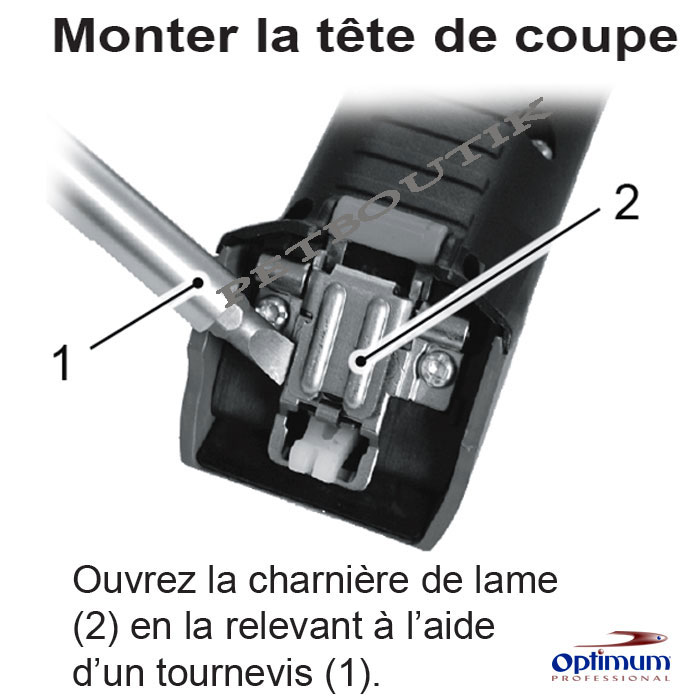 tete de tondene pour chien