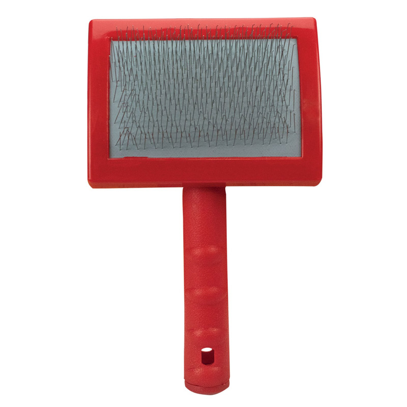 Carde Oscar Franck Tout Poil 10 x 10cm