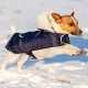 impermeable pour chien Tedd