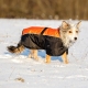 Manteau d'hiver chien Solden fente laisse