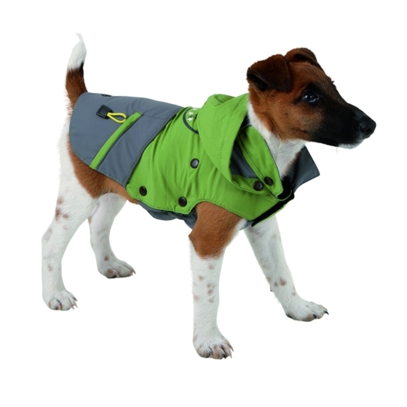 manteau chien hiver