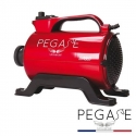 Pulseur chien 2800w avec resistance Diablo Pegase