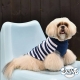 Pull pour chien Marin passe laisse