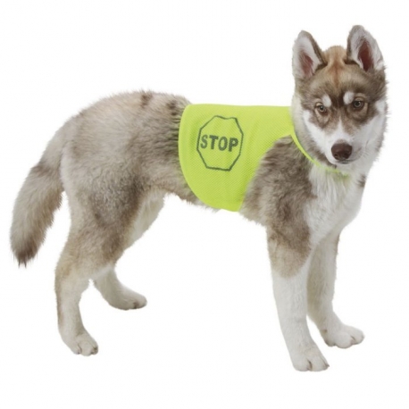 Gilet de sécurité pour chien