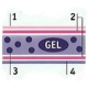 30 Tapis super absorbant 45 x 60