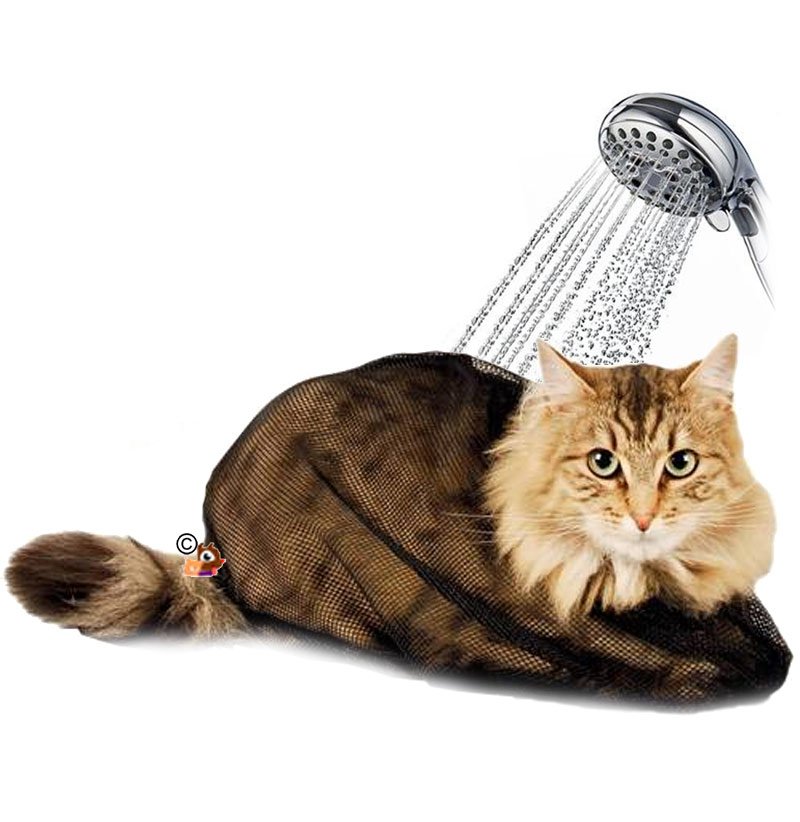 Sac De Toilettage Chat Et Soin En Promotion Sac De Toilettage Chat Et Soin En Promotion