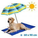 Tapis rafraichissant chien Doogy ou Fresk Non toxique 60x90cm