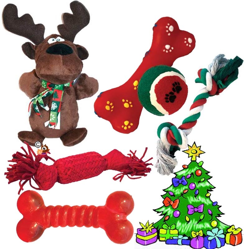 Lot de 6 jouets de Noël pour chien