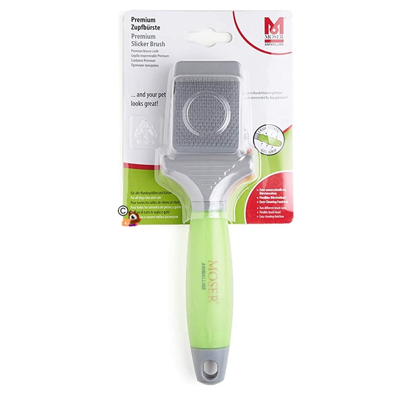 BROSSE CARDE CHIEN