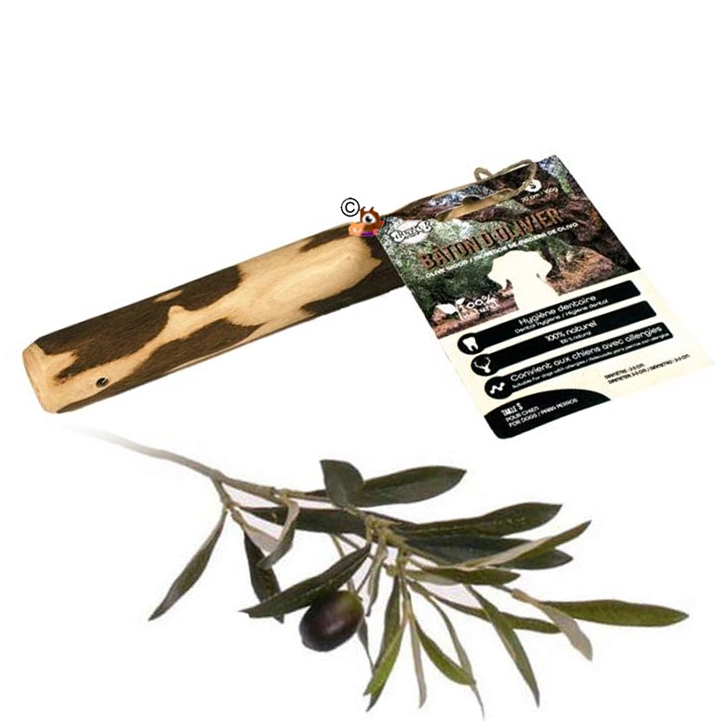 Bois d'olivier - baton à macher pour les chiens - M (101-220gr/21-26cm)