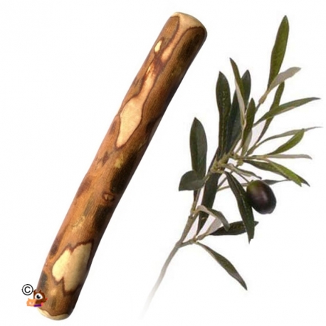 Bois d'olivier 20cm