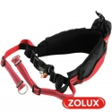 Ceinture Jogging Moov