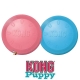 kong puppy flyer