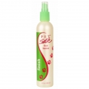 Silk Coat Control Anti-statique 300ml