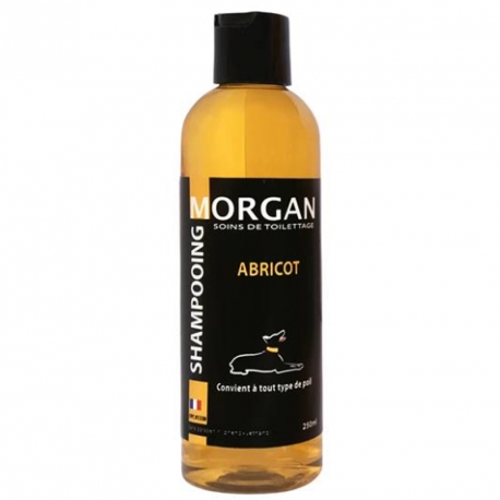 Shampooing protéiné Abricot