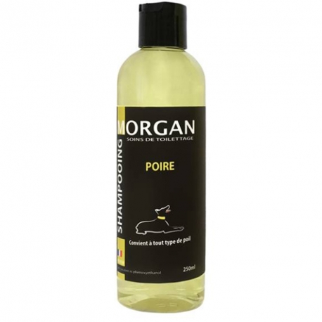 Shampooing protéiné Poire