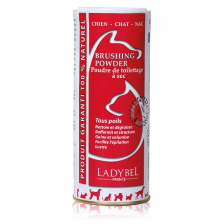 Shampoing sec Brushing Power Ladybel