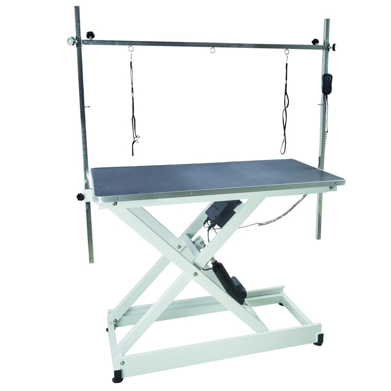 Table toilettage chien electrique professionnelle Jupiter