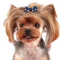 NOEUD BARRETTE POUR CHIEN PANACHE NOEUD BARRETTE POUR CHIEN PANACHE