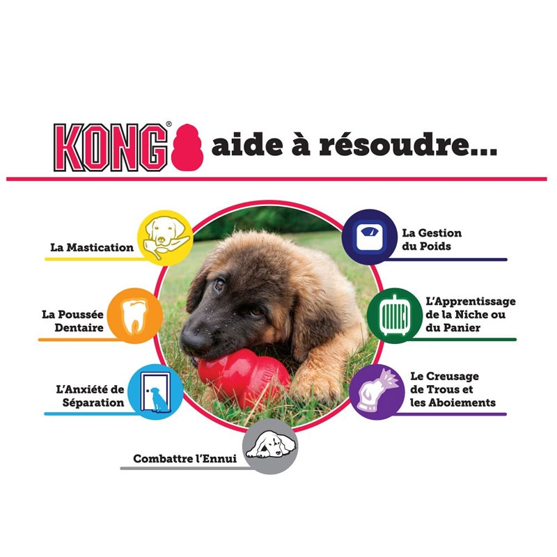 Kong pour chien - pas cher - toutes tailles : XS à XXL
