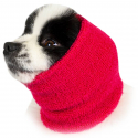 EAR BUDDY rose small EAR BUDDY rose small
