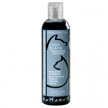 Ladybel shampoing Poil Noir