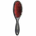 brosse pour chien