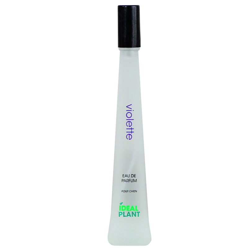 Parfum chien sans alcool violette Idealplant