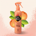 Shampoing sec Pet Head Quick Fix