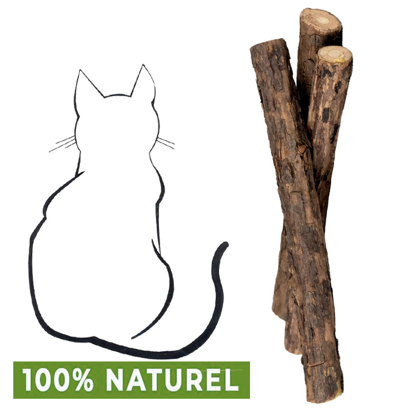 Batonnets de Matatabi 100% naturel friandise chat ????