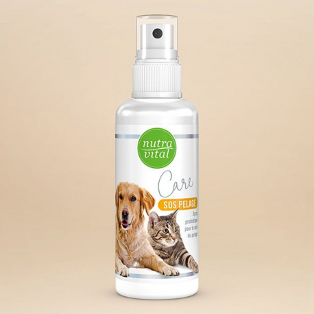 Spray probiotique pour pelage