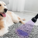 Powair Pet Urine Detector Powair Pet Urine Detector