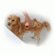 MagicBrush Brosse de bain