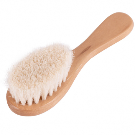 brosse pour chien