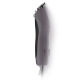 tondeuse pour chien wahl