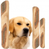 Baton d'olivier pour chien ( taille L )