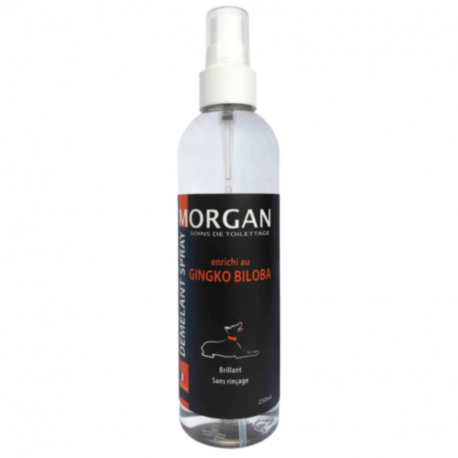Spray démêlant Ginkgo Biloba Morgan 250ml