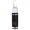 Spray démêlant Ginkgo Biloba Morgan 250ml