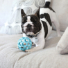 Balle JW Hol-EE Roller Trend-EE pour chien