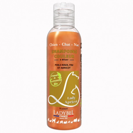  LadyBel Shampooing Abricot 
