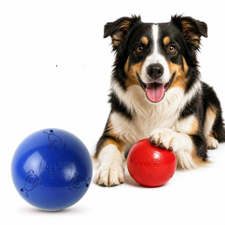 BOOMER BALL- Ballepour chien Indestructible 