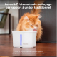 Fontaine PetSafe Viva