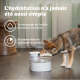Fontaine à Eau PetSafe Outlast™ 1,7 L