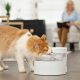 Fontaine à Eau PetSafe Outlast™ 1,7 L
