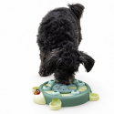 Jeu réflexion Turtle turquoise, Ø 25 cm pour chien