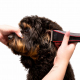 Tondeuse pour chien sans fil Wahl Bravura 