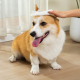 PSH Aloe Vera Wipes 40 pièces (chien & chat)