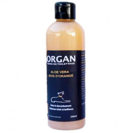 Shampoing Aloe Vera Bois d’Orange Morgan